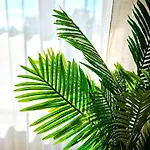 Апартаменты Cofy - Quiet Location, Air-conditioning, Free Parking, 24-7 Check-in-out With Prepaid Nighttime Check-in, Early Check-in, Late Check-out!