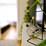 Апартаменты Cofy - Quiet Location, Air-conditioning, Free Parking, 24-7 Check-in-out With Prepaid Nighttime Check-in, Early Check-in, Late Check-out!