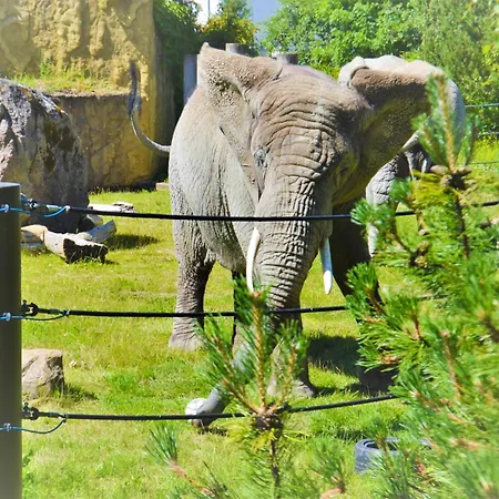 Апартаменты Cofy - Centrally Located, Quiet District, Air-conditioning, Free Parking, 24-7 Express Check-in-out, Close To Sea And Everything Need For Living! Таллин