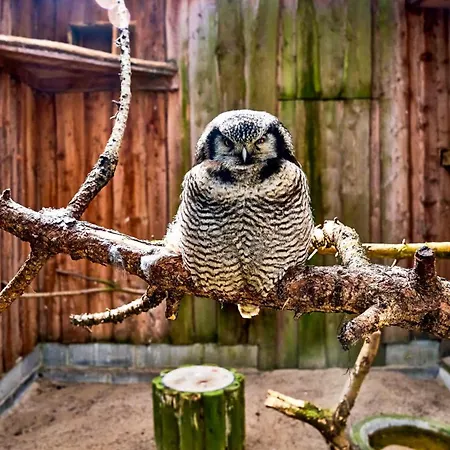 Appartement Cofy - Centrally Located, Quiet District, Air-conditioning, Free Parking, 24-7 Express Check-in-out, Close To Sea And Everything Need For Living! Tallinn