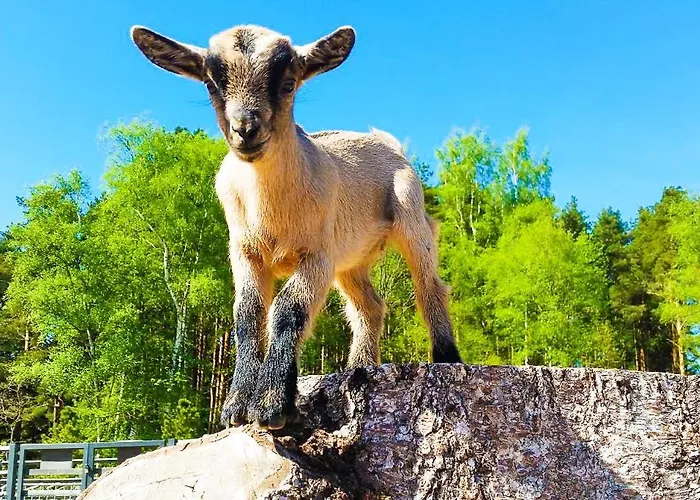 아파트 Cofy - Quiet Location, Air-conditioning, Free Parking, 24-7 Check-in-out With Prepaid Nighttime Check-in, Early Check-in, Late Check-out!