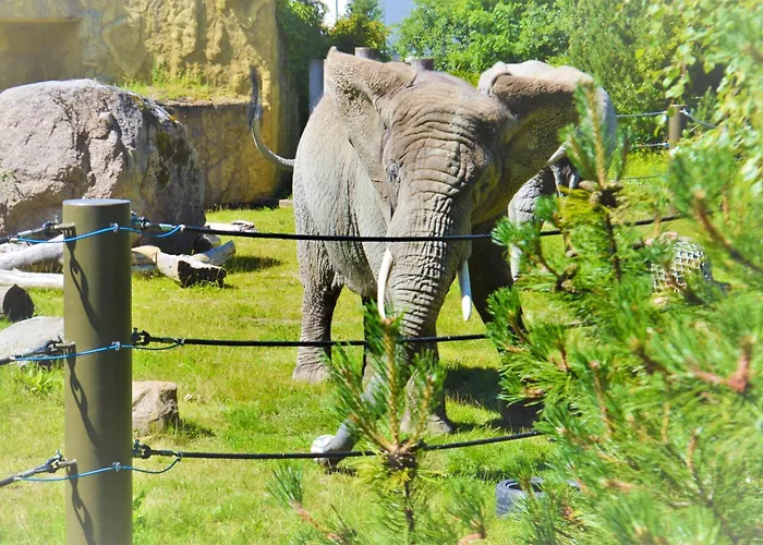 Apartment Cofy - Centrally Located, Quiet District, Air-conditioning, Free Parking, 24-7 Express Check-in-out, Close To Sea And Everything Need For Living! Tallinn