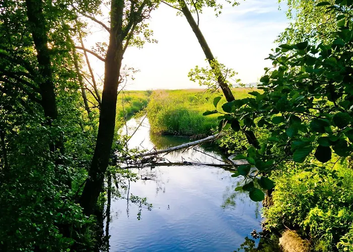 Cofy - Quiet Location, Air-conditioning, Free Parking, 24-7 Check-in-out With Prepaid Nighttime Check-in, Early Check-in, Late Check-out!