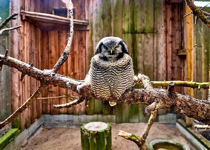 Апартаменты Cofy - Centrally Located, Quiet District, Air-conditioning, Free Parking, 24-7 Express Check-in-out, Close To Sea And Everything Need For Living! Таллин